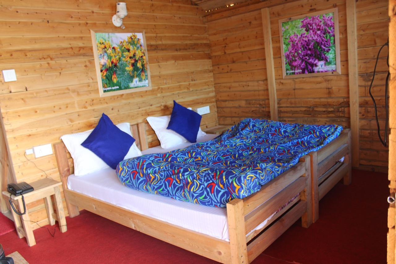 Blue Poppy Resorts Joshīmath Exteriér fotografie