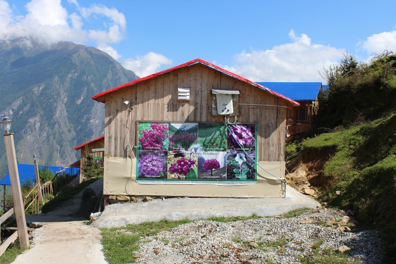 Blue Poppy Resorts Joshīmath Exteriér fotografie
